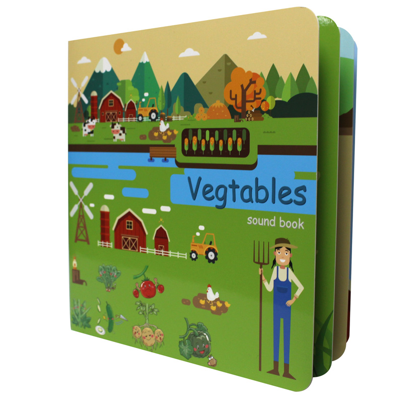 Kids Education Board - Custom Board Books for Babies English