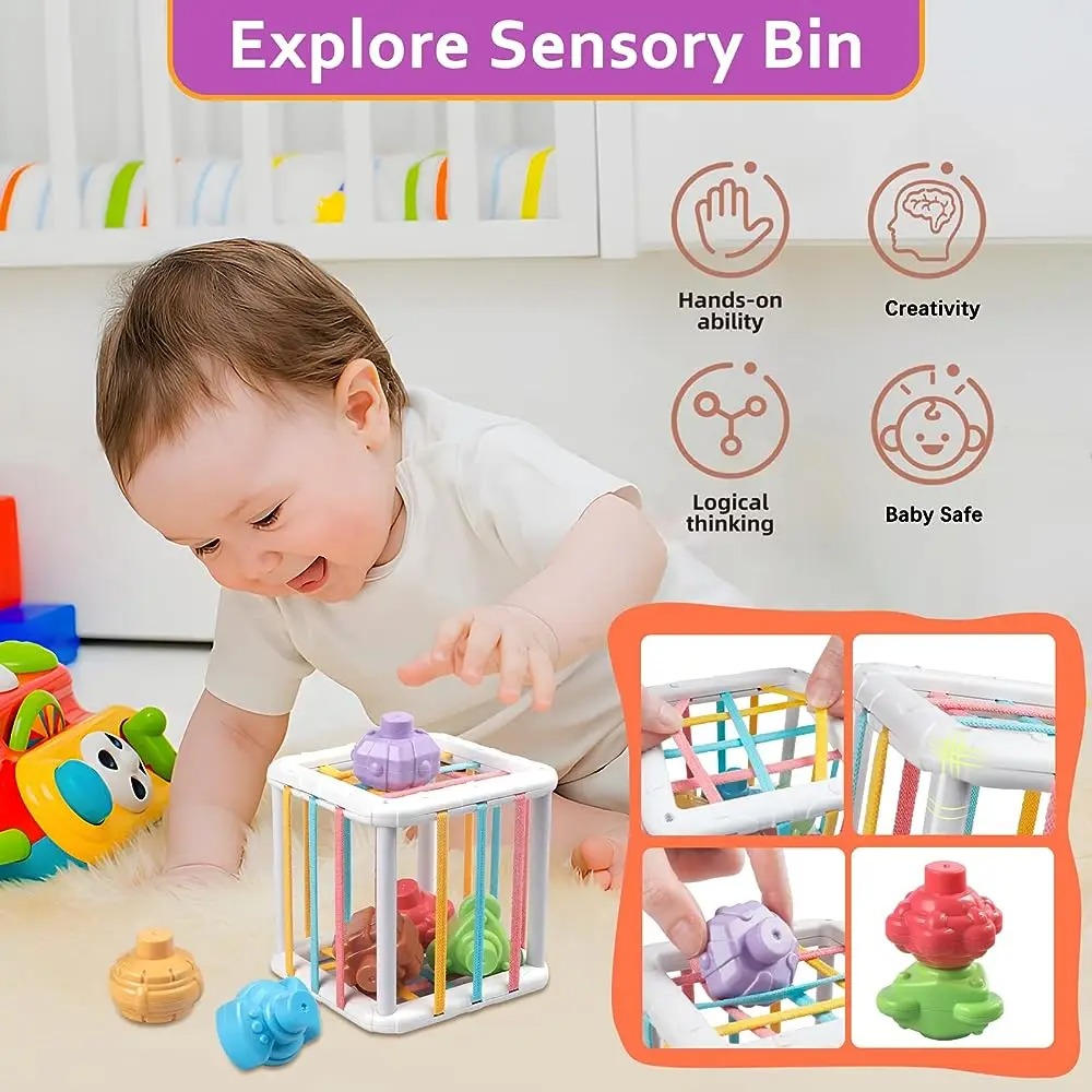 Rainbow Colorful Montessori Sh - Kids Educational Resources ulasan dan harga