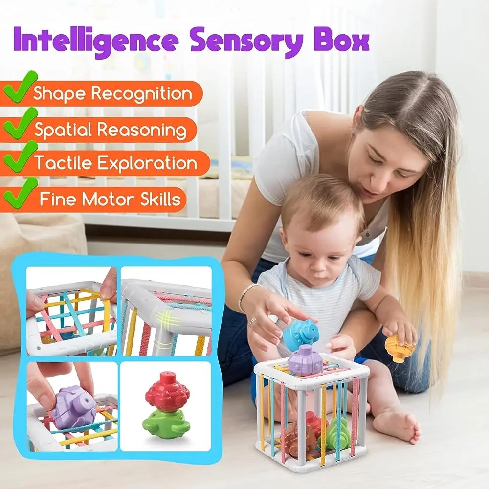 Rainbow Colorful Montessori Sh - Kids Educational Resources ulasan dan harga