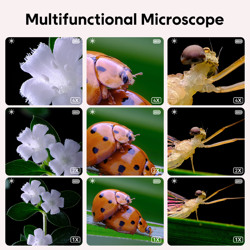 Mini Kids Optical Microscope W - Kids Education World ulasan dan harga
